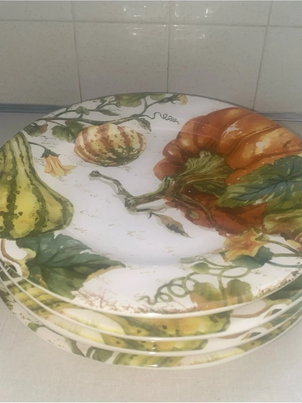 Pier 1 Pumpkin Patch Dinner Plates Set of 4 Earthenware Fall Thanksgiving